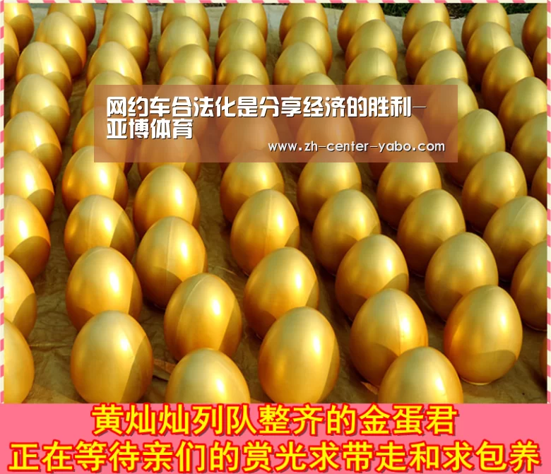 网约车合法化是分享经济的胜利-亚博体育(图1) 亚博体育官网