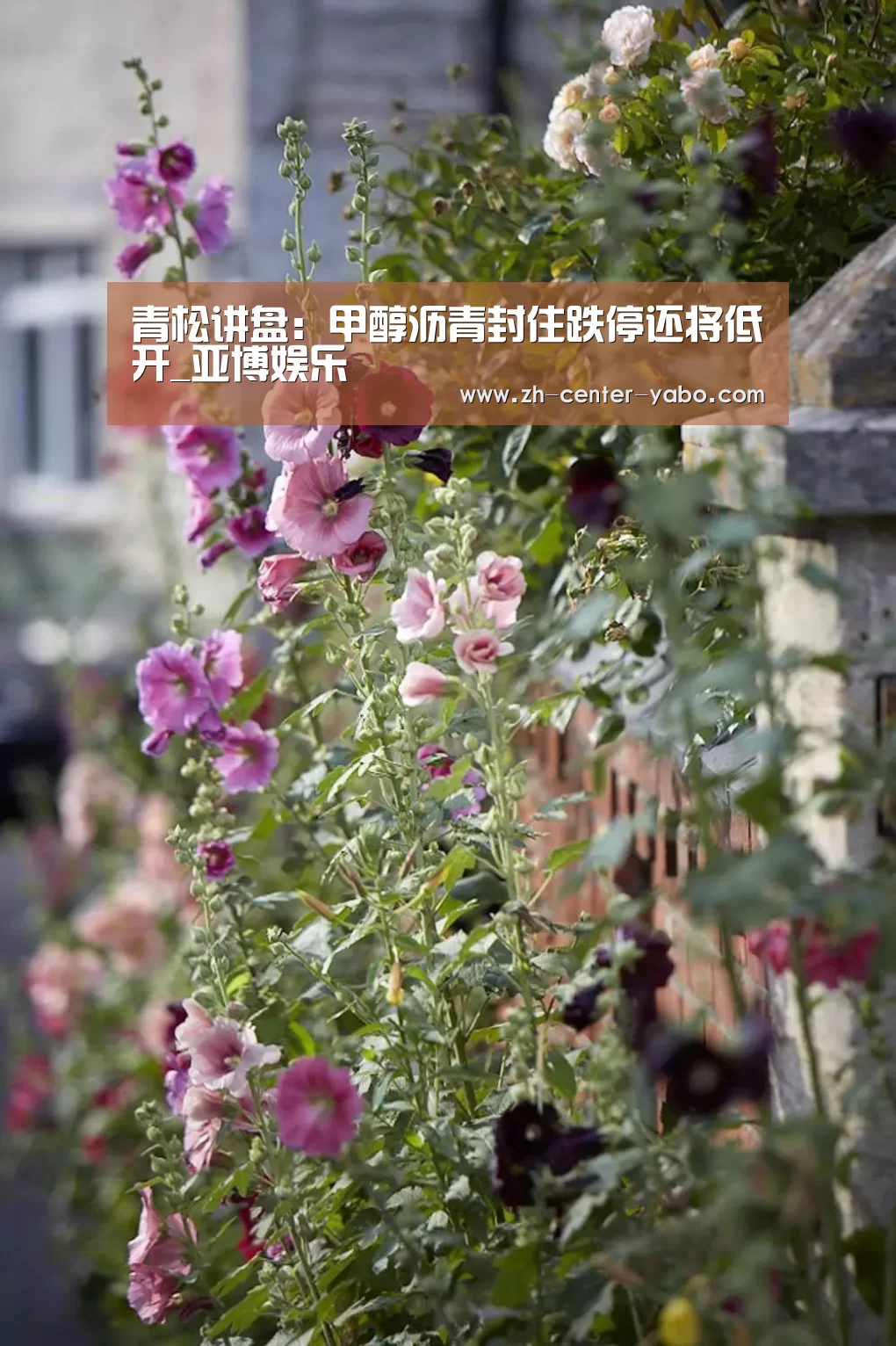 青松讲盘:甲醇沥青封住跌停还将低开_亚博娱乐(图2) 亚博